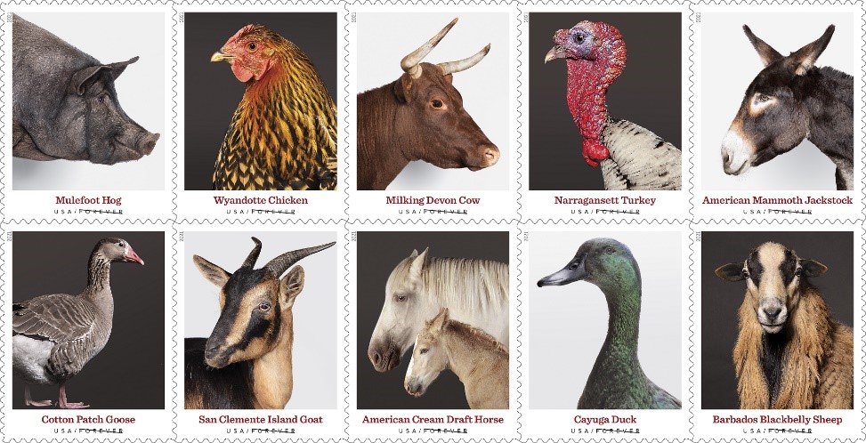 USPS released ten special “New Heritage Breeds” stamps!