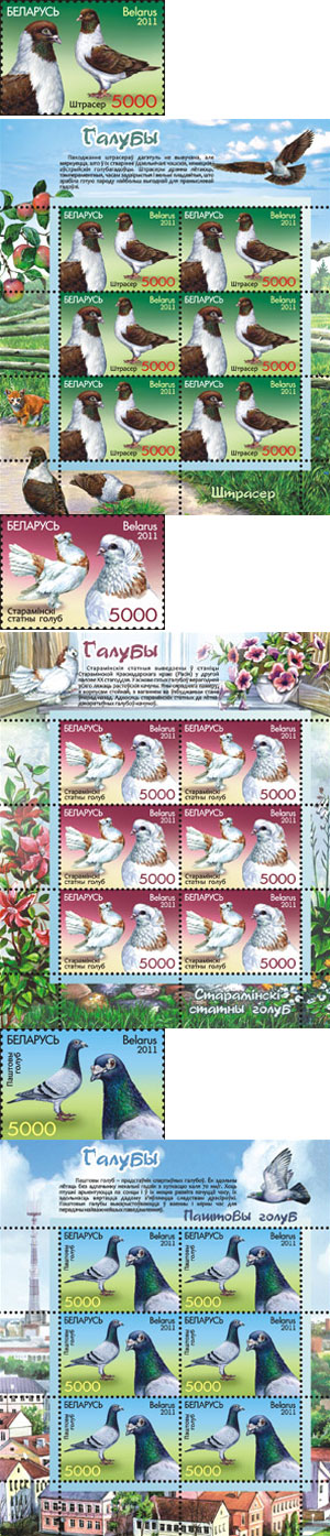 Pigeons on new Byelorussian stamps