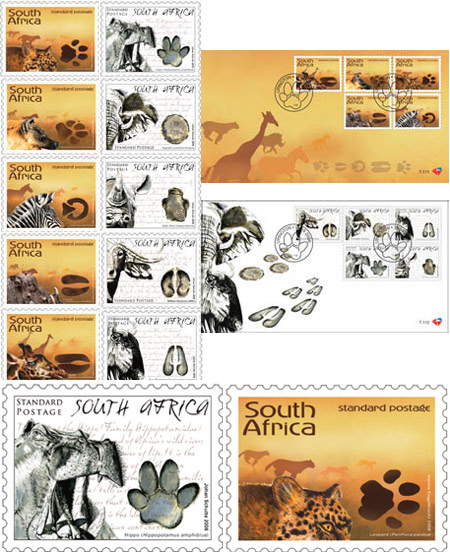 Animal Tracks - Stories in the Sand