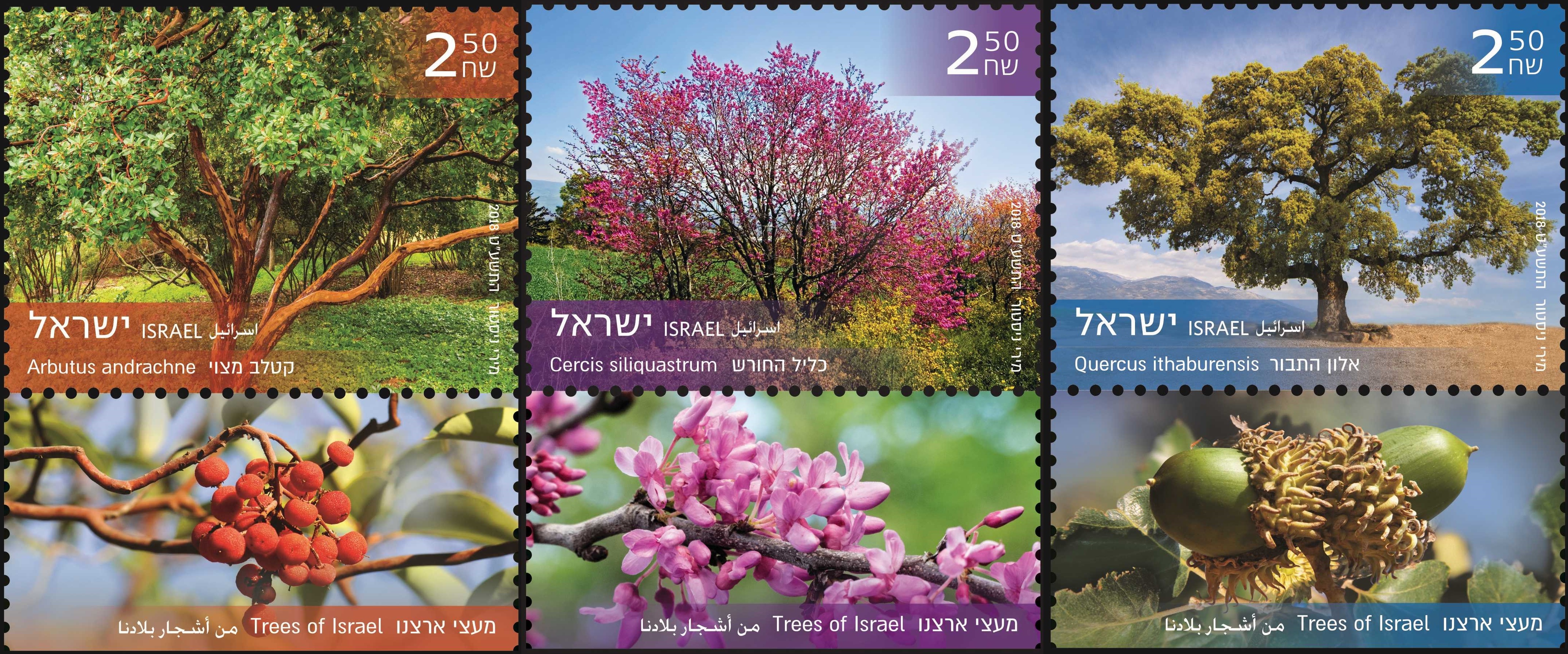 Trees of Israel – three stamps released by Israel Post