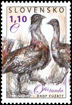 Nature Conservation: Great Bustard stamp from Slovakia