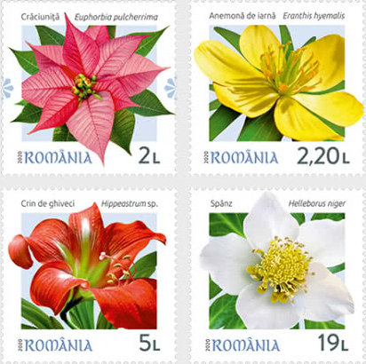 Winter flowers – four captivating stamps released by Romfilatelia!
