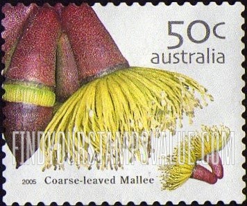 FindYourStampsValue: Wild Flowers: Coarse-leaved mallee