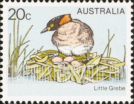 FindYourStampsValue: Australian birds: Little grebe
