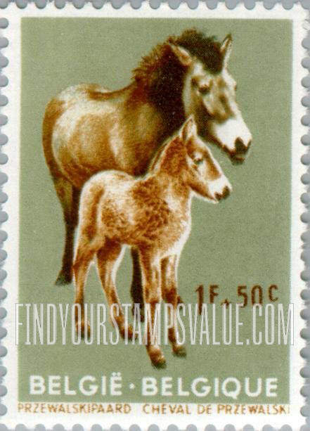 FindYourStampsValue: Semi-Postal, Animals: Przewalski horses