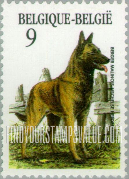 Dogs: Malines sheepdog