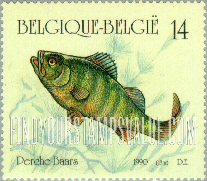 Fish: Perch (Perche)