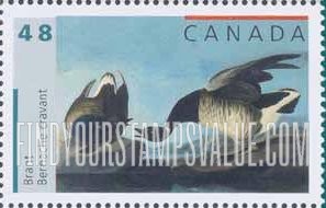 Bird Paintings by John James Audubon: Brant.