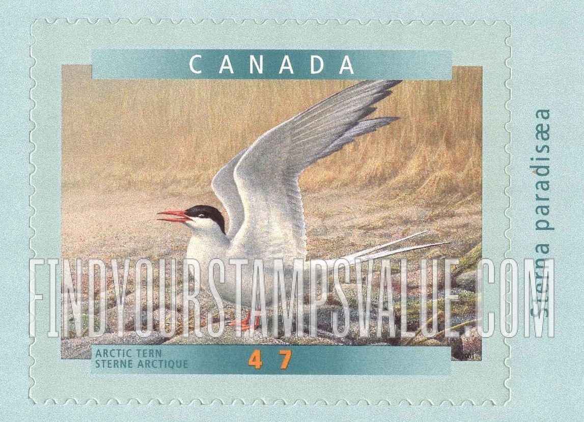 FindYourStampsValue: Bird Type of 1996: Arctic Tern