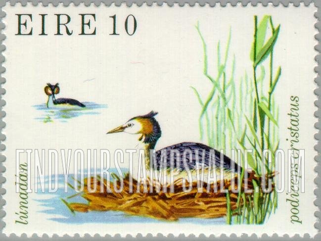 Birds: Great crested grebe