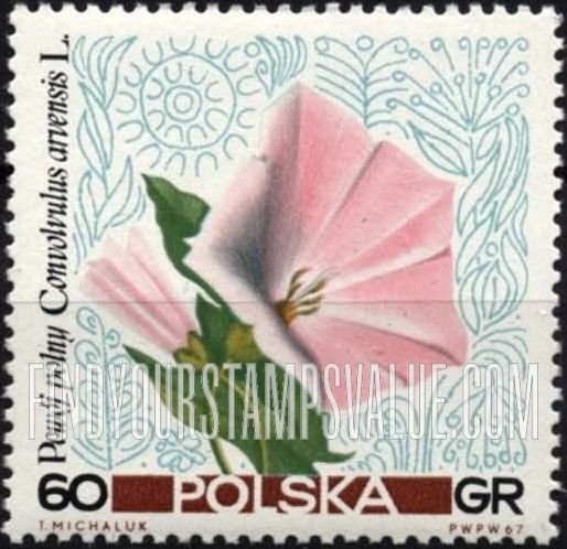 FindYourStampsValue: Flowers: Morning glory