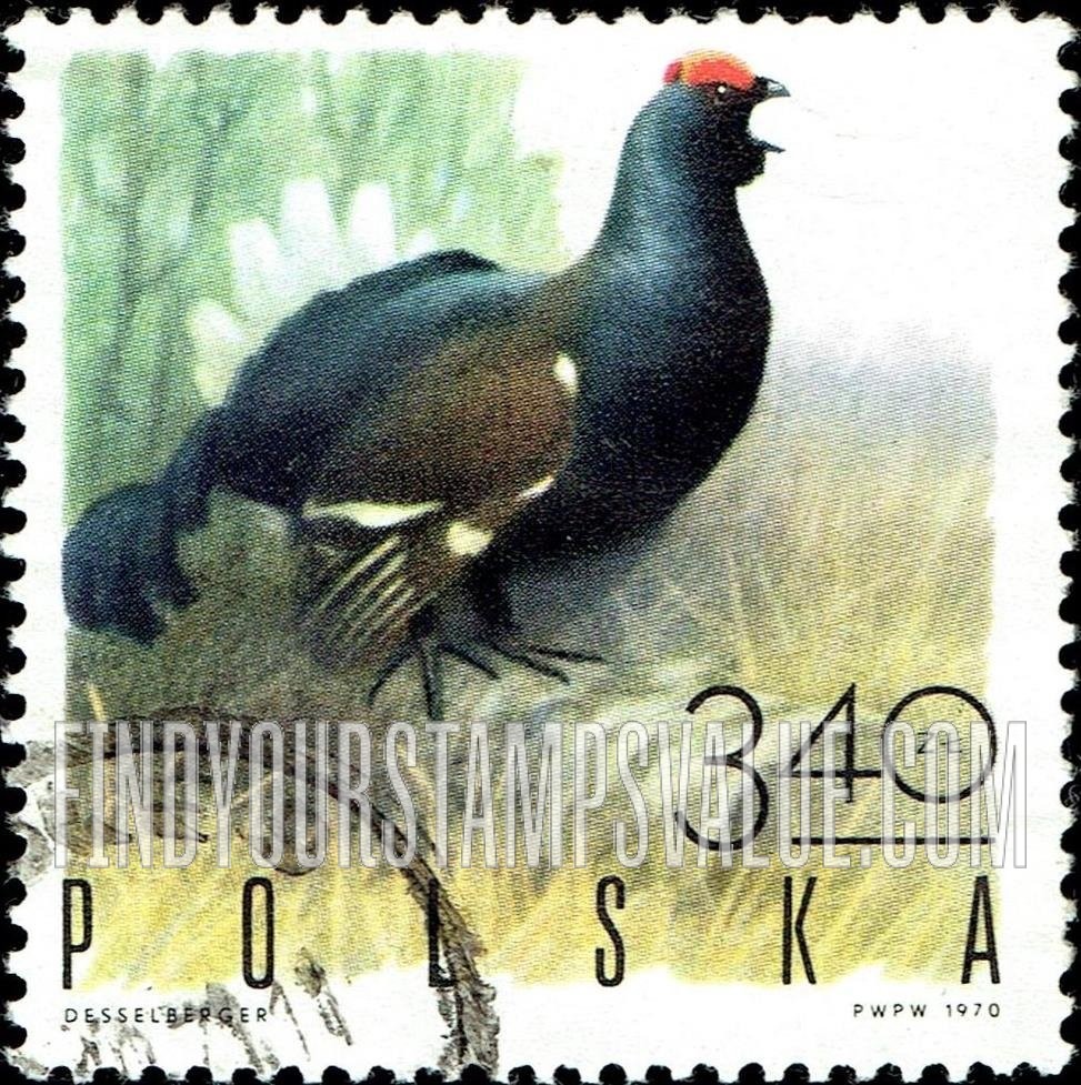 FindYourStampsValue: Game Birds: Black grouse