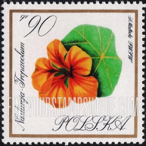 Flowers: Nasturtium