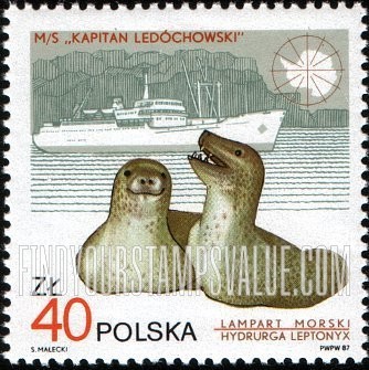 Wildlife and ships: Hydrurga leptonyx, ship Kapitan Ledochowski