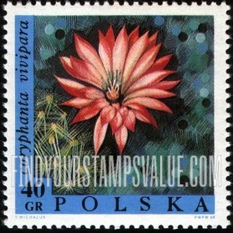 FindYourStampsValue: Exotic Flowers: Coryphanta vivipara