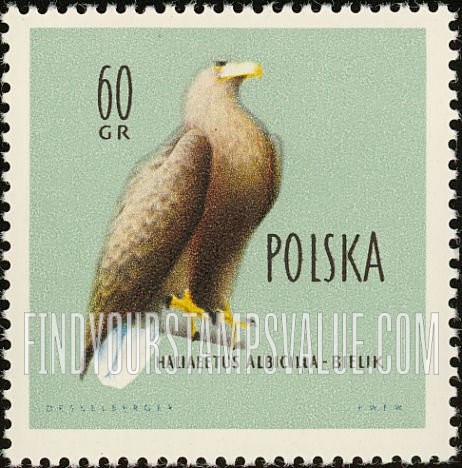 FindYourStampsValue: Birds: Whitetailed sea eagle
