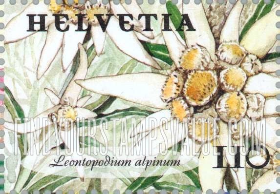 Federal Administration, Flowers: Leontopodium alpinum