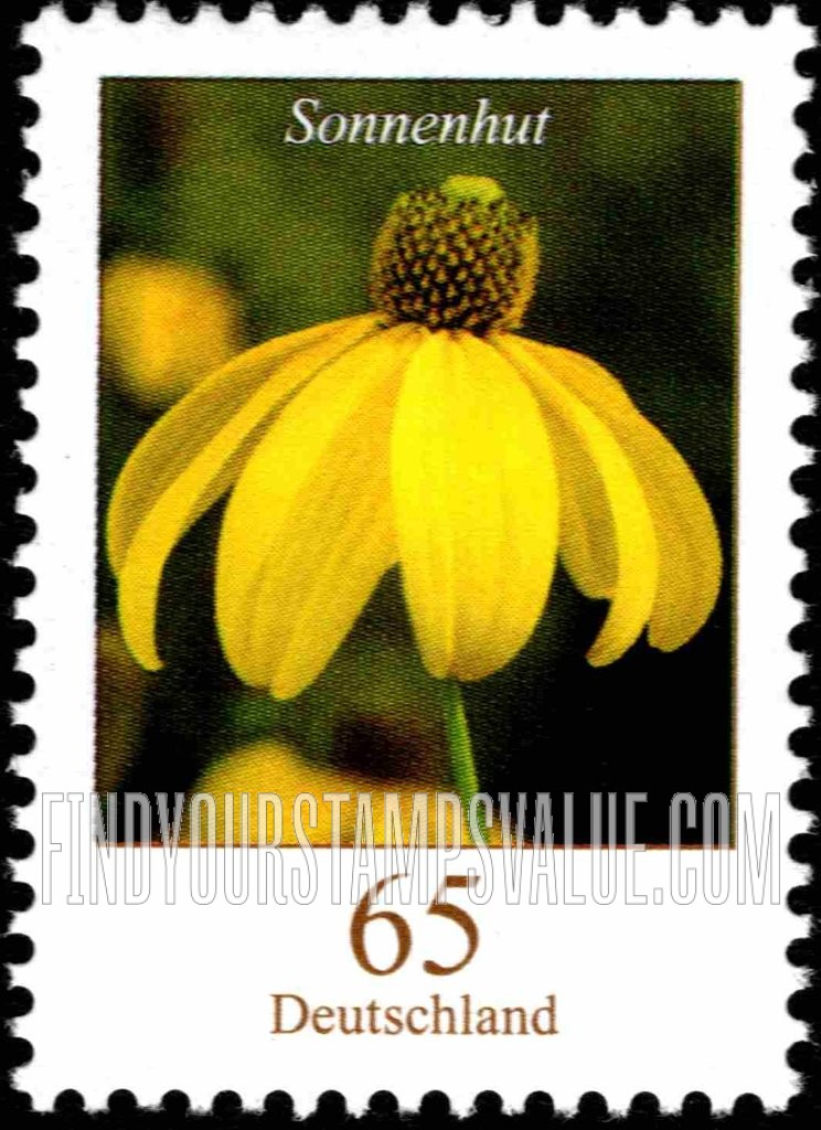 Flowers: Sonnenhut (rudbeckia)