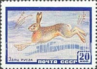 FindYourStampsValue: Russia: USSR, Animals - Hare