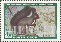 FindYourStampsValue: Russia: USSR, Animals - Red Squirrel