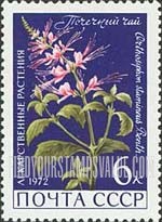 FindYourStampsValue: Russia: USSR, Medicinal Plants - Orthosiphon Stamineus