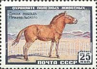 Russia: USSR, Animals - Siberian Horse