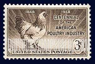 AMERICAN POULTRY INDUSTRY CENTENNIAL - Light Brahma Rooster