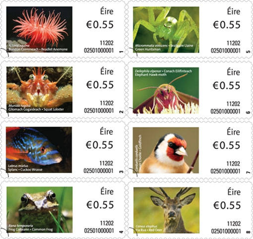 Irish Animals and Marine Life Definitive Series