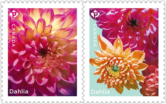 Canada Post welcomes spring with two Dahlias stamps!