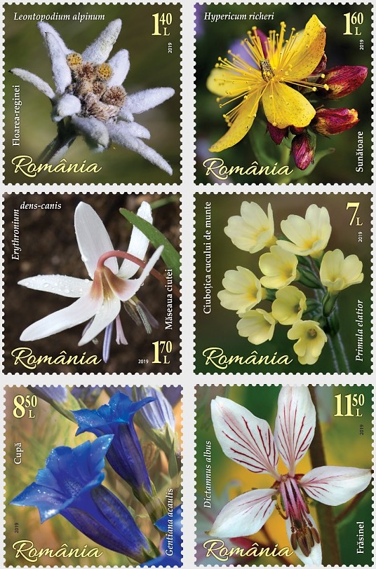 Mountain's flowers appeared on six new stamps by Romfilatelia