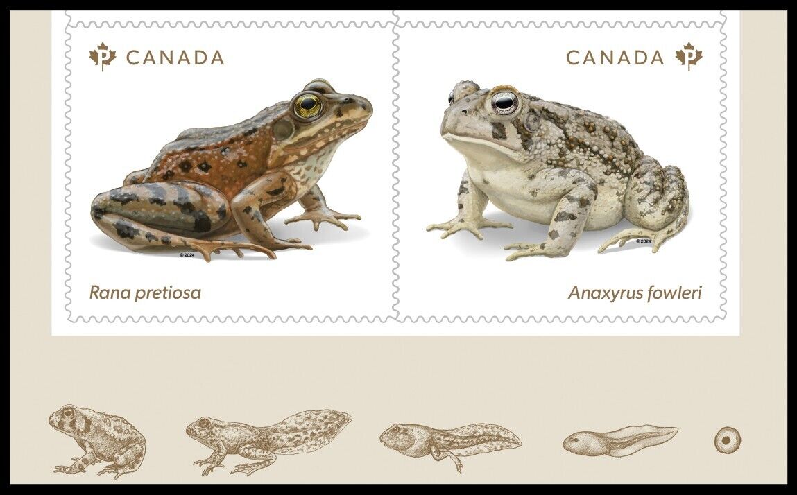 Stamps with Endangered Frogs from Canada, 2024