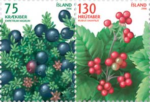 Iceland: Wild Berries