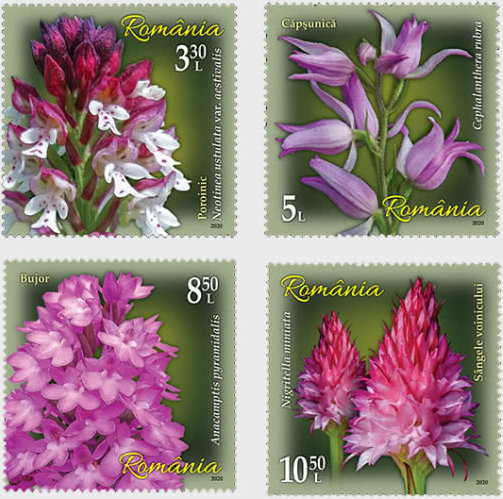 Beautiful orchids appeared on four new Romanian stamps!