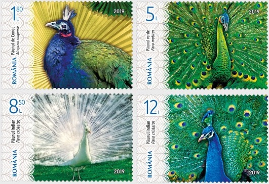 Peafowls – four stunning stamps released by Romfilatelia