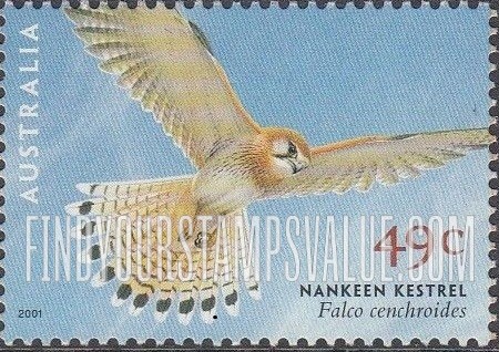 Birds of Prey: Nankeen kestrel