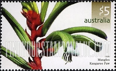 Flowers: Mangles kangaroo paw