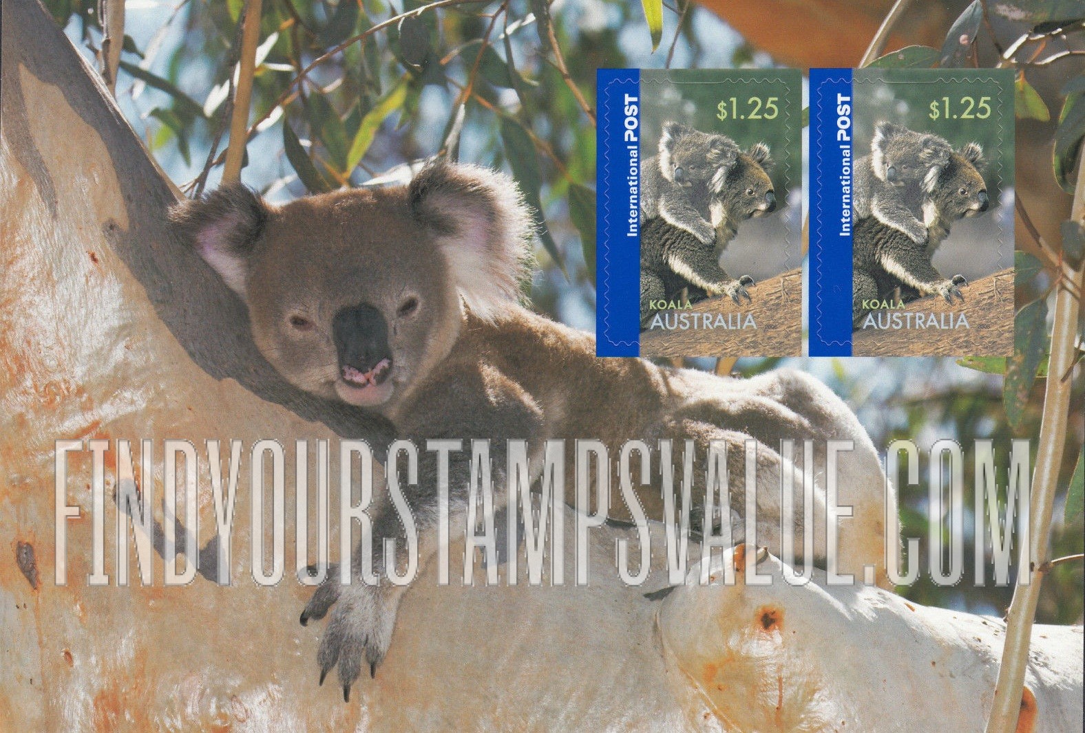 FindYourStampsValue: Animals: Koala, vertical
