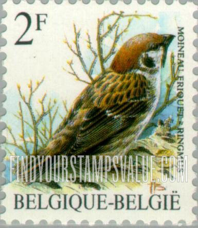 Birds: Moineau friquet