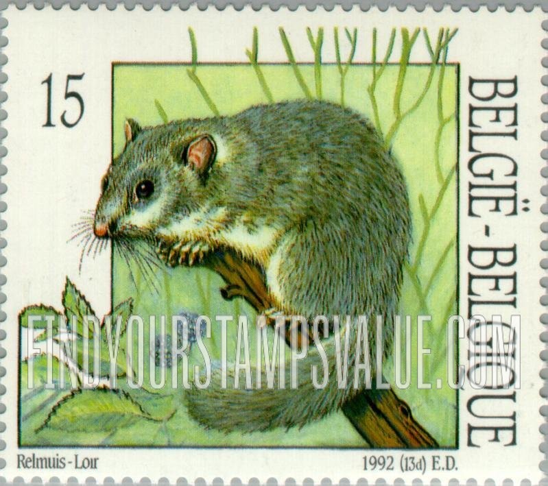 Animals: Dormouse