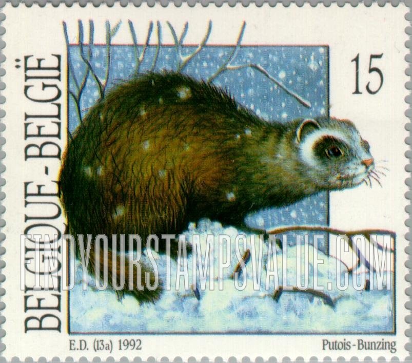 Animals: Polecat