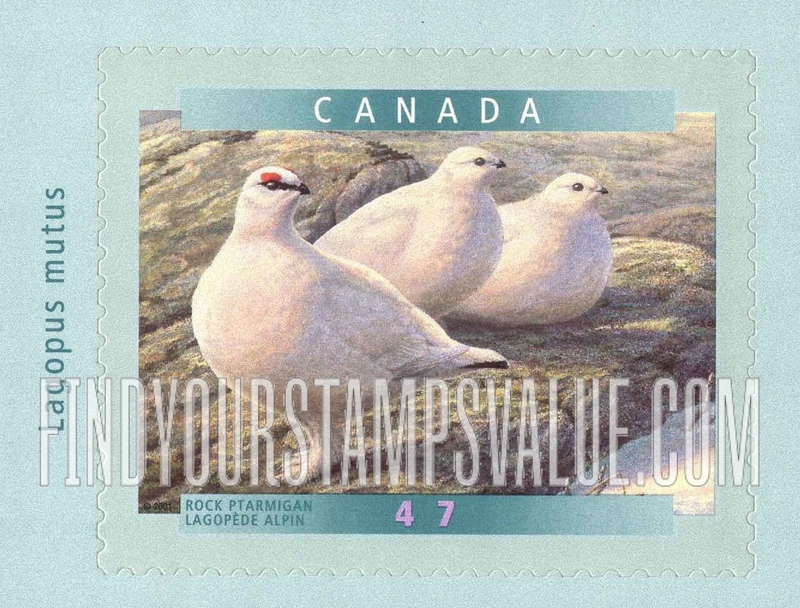 Bird Type of 1996:  Rock ptarmigan