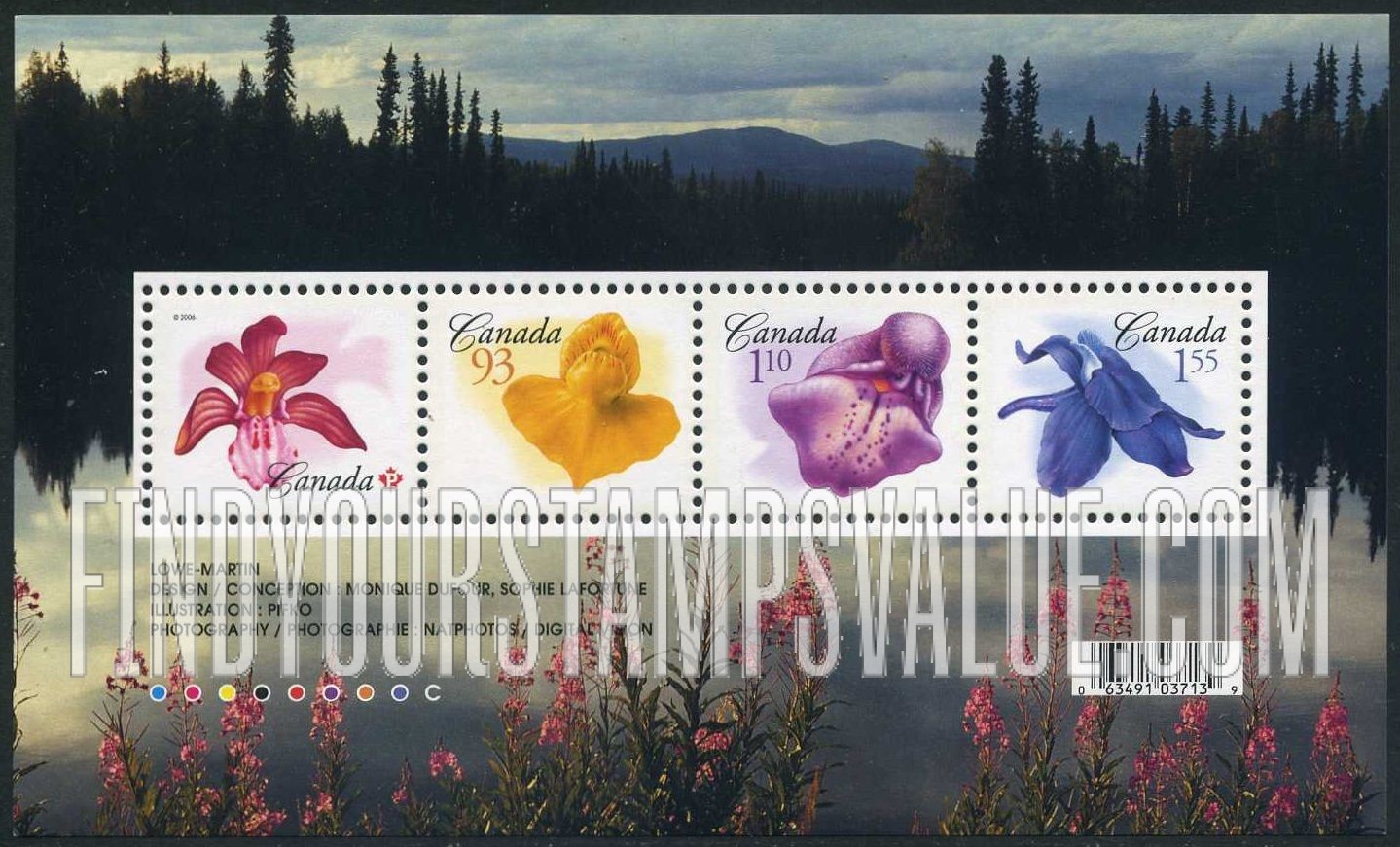 Flower Definitives