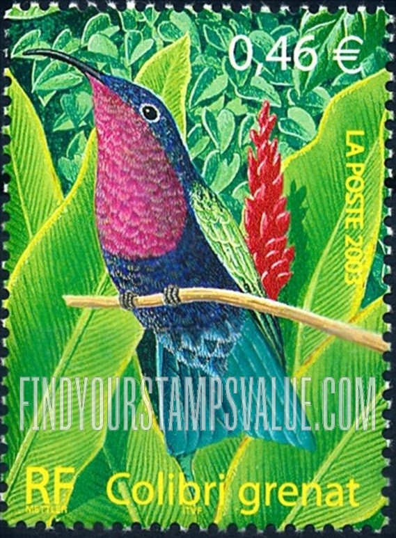 FindYourStampsValue: Birds: Colibri grenat (Eulampis jugularis), vertical
