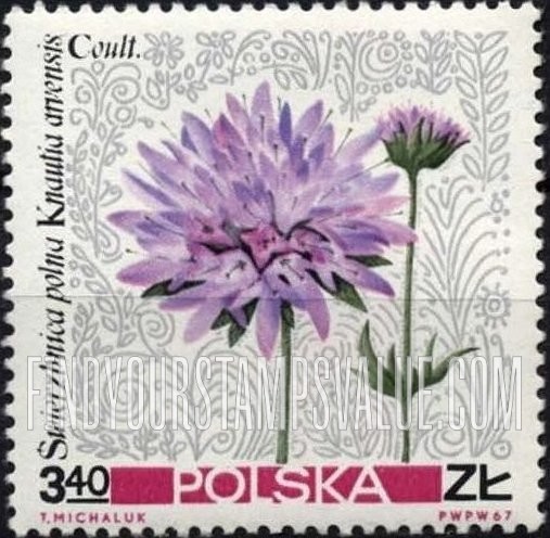 FindYourStampsValue: Flowers: Wild aster