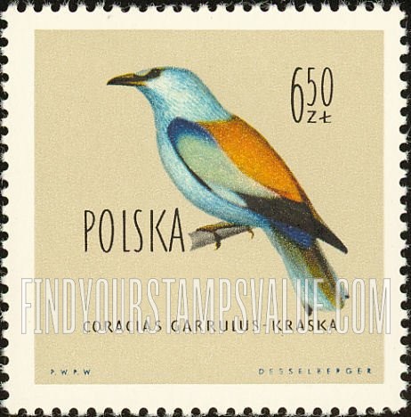 Birds: European roller