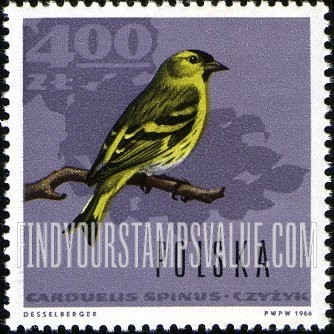 Forest Birds: Siskin (finch)