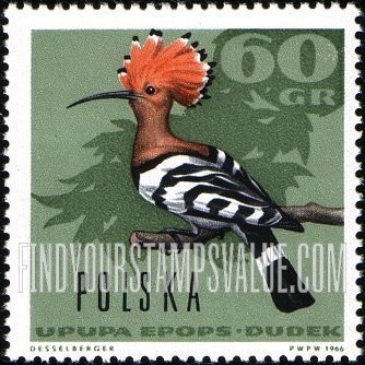 Forest Birds: Hoopoe