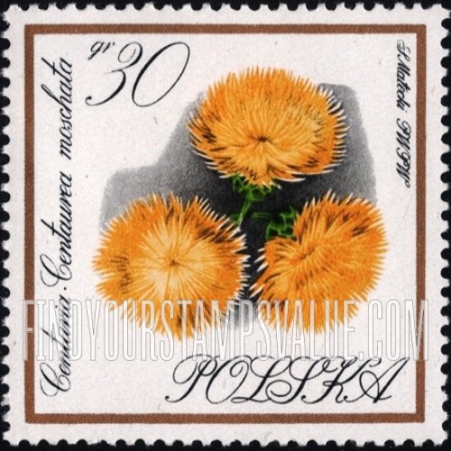 FindYourStampsValue: Flowers: Centaury