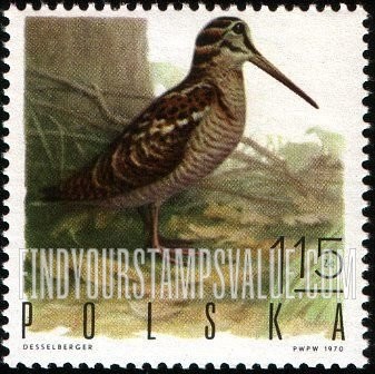 Game Birds: Woodcock