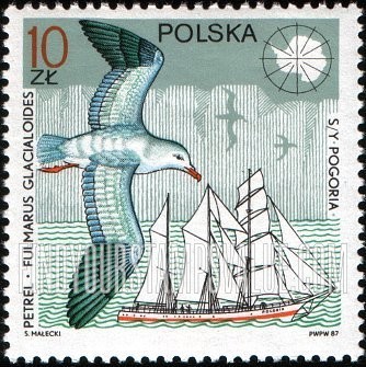 Wildlife and ships: Fulmarus glacialoides, yacht Pogoria